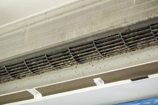 Best Commercial HVAC Duct Cleaning  in Wagoner, OK
